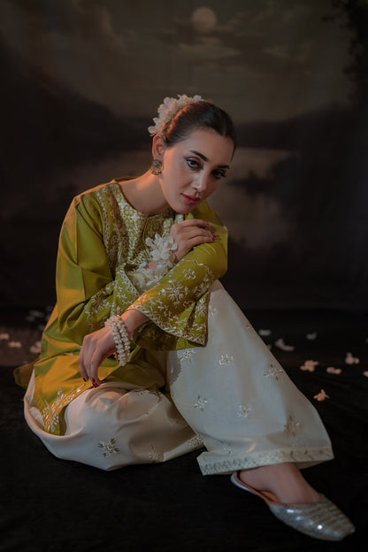 Lawn Embroidered Printed 2Piece D-009