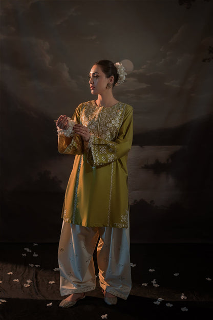 Lawn Embroidered Printed 2Piece D-009